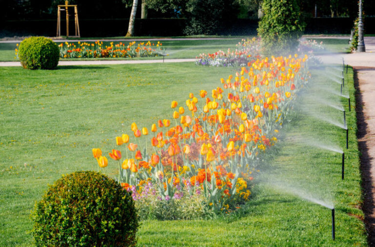 PORADNIK – Czego potrzebujemy do zaplanowania systemu?