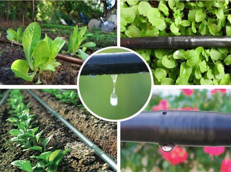 Linia kroplująca z kompensacją 100m - obrazek 2